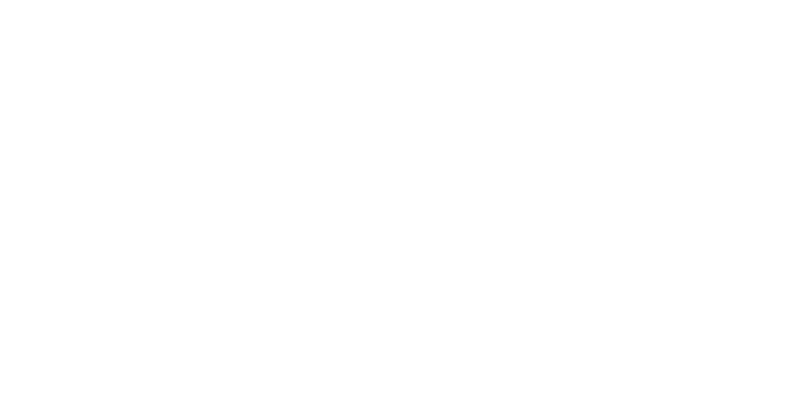 Lifeguard - De vitale factor